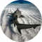 Shark Toulouzain Avatar