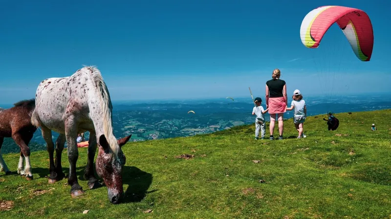 Flying site Prat d'Albis